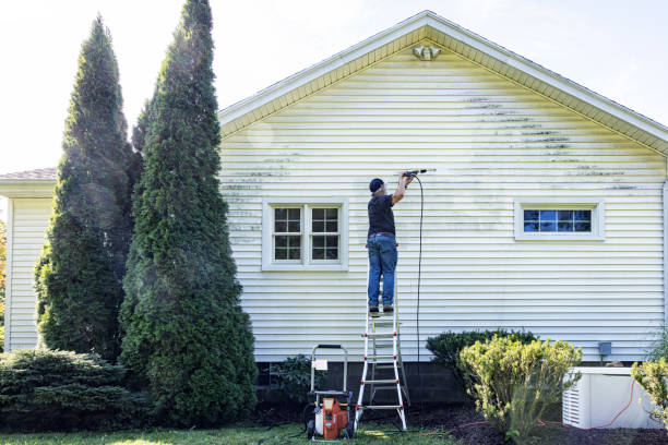 Best Roof Washing  in Minoa, NY